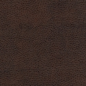 Picture of Avante Pecan