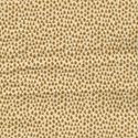 Picture of Key West Sand