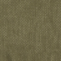 Picture of QS1001 Moss