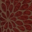 Picture of Kiev Terracotta