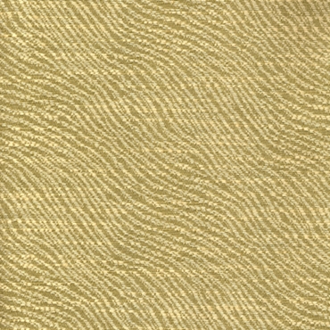 Picture of Santiago Wheat